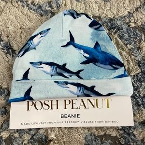 Posh Peanut Shark Beanie